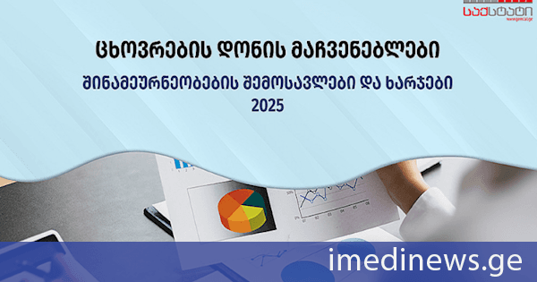 საქსტატი: 2025 წელს საქართველოში საშუალო თვიური შემოსავლები, წინა წელთან შედარებით, 12.4 პროცენტით გაიზარდა და 2 131 ლარი შეადგინა