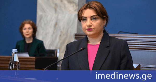 საფინანსო-საბიუჯეტო კომიტეტმა სახელმწიფო აუდიტის სამსახურის 2027 წლის საბიუჯეტო განაცხადი განიხილა