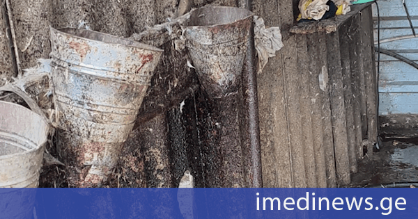 სურსათის ეროვნულმა სააგენტომ მარნეულში ფრინველთა არალეგალურ სასაკლაოს საწარმოო პროცესი შეუჩერა