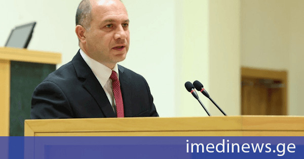 გივი მიქანაძემ საქართველოს პარლამენტში უმაღლესი განათლების სისტემის რეფორმის შესახებ ისაუბრა