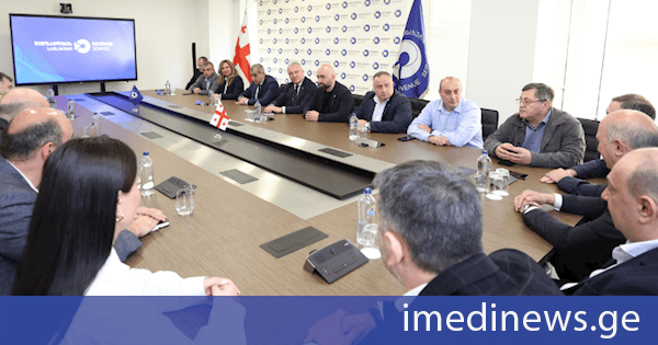 შემოსავლების სამსახურის უფროსის მოადგილედ ია ახალაია დაინიშნა