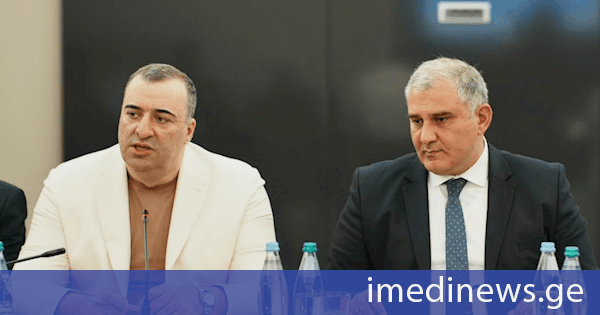 რატი იონათამიშვილმა ბიოფსიქოსოციალური მოდელის დანერგვის საკოორდინაციო საბჭოს პირველ სხდომაში მიიღო მონაწილეობა