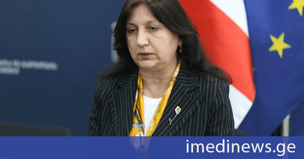 ისტორიის, სამოქალაქო განათლების, მათემატიკისა და გეოგრაფიის გამოცდებთან დაკავშირებით ონლაინ საინფორმაციო შეხვედრები გაიმართა
