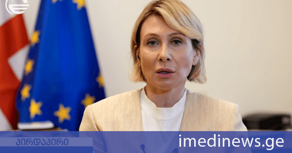 ნინო წილოსანი: წარმოუდგენელია, ქართველ ხალხს დამსახურებული თავისუფალი მიმოსვლა შეუზღუდო და აუკრძალო მხოლოდ იმიტომ, რომ შენი ბრმა იარაღი არ გახდა ეს ქვეყანა. ალბათ ამას თავადაც აცნობიერებენ, ამიტომაც არის, რომ ამ მექანიზმს, ვიზალიბერალიზაციას ვგულისხმობ, აგრესიულად არ იყენებენ