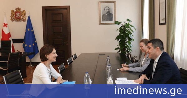 შალვა პაპუაშვილი საქართველოში UNICEF-ის ახალ წარმომადგენელს შეხვდა