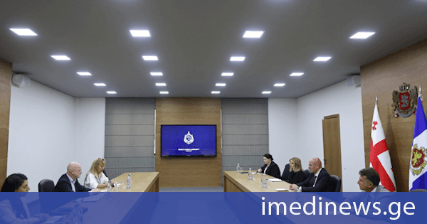 შინაგან საქმეთა მინისტრის მოადგილე ალან მიჩელს შეხვდა