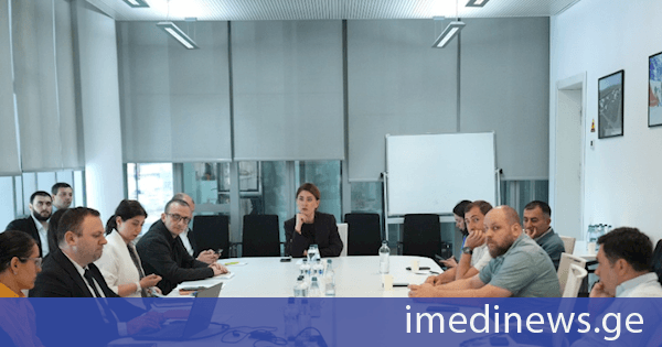 თამარ იოსელიანი: საქართველოში საგზაო უსაფრთხოების უზრუნველყოფა ჩვენთვის უმნიშვნელოვანესი პრიორიტეტია