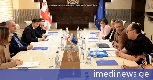 საქართველოს გენერალური პროკურორის მოადგილე ამირან გულუაშვილი ევროპის საბჭოს წამების, არაადამიანური ან ღირსების შემლახველი მოპყრობისა თუ დასჯის პრევენციის ევროპული კომიტეტის (CPT) დელეგაციას შეხვდა