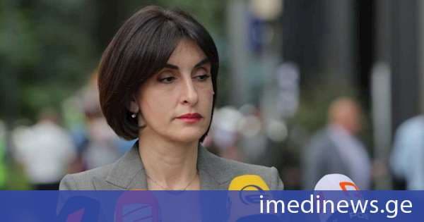 მაკა ბოჭორიშვილი ვიზალიბერალიზაციის შერჩევითად შეჩერებასთან დაკავშირებით: ასეთი განცხადებები მიმართულია ჩვენი საზოგადოების და ჩვენი სახელმწიფო ინტერესების წინააღმდეგ