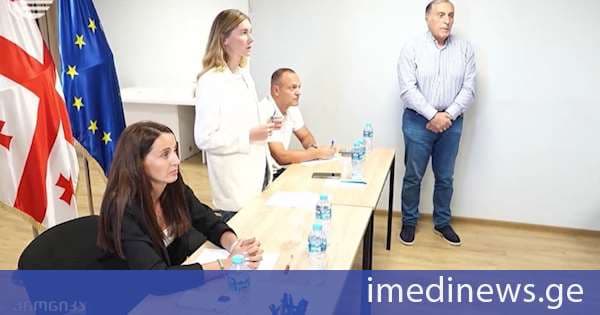 თინა ბოკუჩავას განცხადებით, სააკაშვილის კრიტიკანარევი პოსტები გულდასაწყვეტია