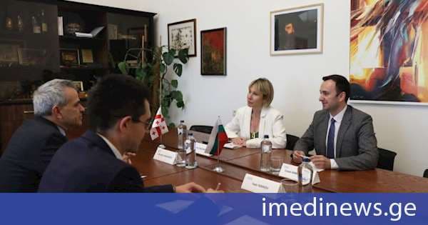ნინო წილოსანმა და ლევან მახაშვილმა საქართველოში ბულგარეთის ელჩთან გამოსამშვიდობებელი შეხვედრა გამართეს