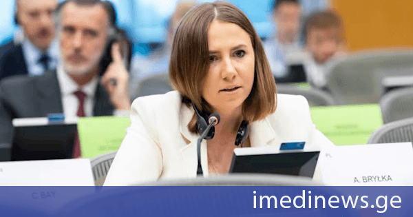 ევროპარლამენტარი ანა ბრილკა: ევროკომისიის მიერ შექმნილი მექანიზმი, სახელად „დემოკრატიის ფარი“, ევროკავშირის მოქალაქეების დაცვის ნაცვლად, სიტყვის თავისუფლებას უქმნის საფრთხეს