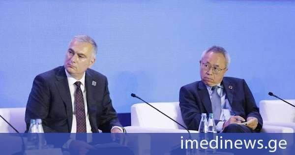პაატა სალიამ გაერო-ს ფორუმის მონაწილეებს მოქალაქეზე ორიენტირებული საჯარო სერვისების მიწოდების ქართული მოდელი გააცნო