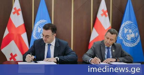 დავით სონღულაშვილი: ხელი მოვაწერეთ ქვეყნის პროგრამულ ჩარჩო ხელშეკრულებას, რომელიც გააძლიერებს აგროსექტორისთვის გაეროს მხარდაჭერას