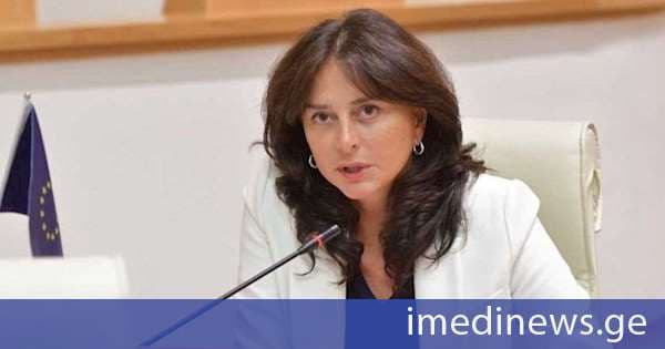 მაია ბითაძე ოპოზიციაზე: დაკავებულები არიან ერთმანეთის ლანძღვით და საქართველოსთვის ძირის გამოთხრით
