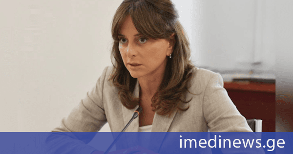 მაია ბითაძე: „ევროპის სახალხო პარტიისა“ და „ალდეს“ ხელში საპარლამენტო ასამბლეები პოლიტიკური ზეწოლის იარაღად იქცა