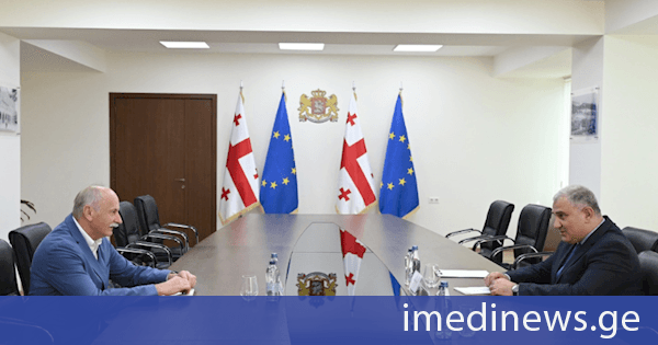 მიხეილ სარჯველაძე ოტორინოლარინგოლოგიური საზოგადოებების საერთაშორისო ფედერაციის გენერალურ მდივანს შეხვდა