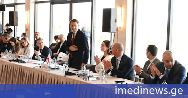 ირაკლი მეზურნიშვილი შავი ზღვის ეკონომიკური თანამშრომლობის საპარლამენტო ასამბლეის ვიცე-პრეზიდენტად აირჩიეს