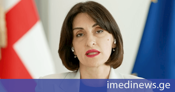 მაკა ბოჭორიშვილი: ბოლო პერიოდში ევროკავშირის საგარეო ქმედებათა სამსახურის საქმიანობით უკმაყოფილება ბევრი მიმართულებით ისმის