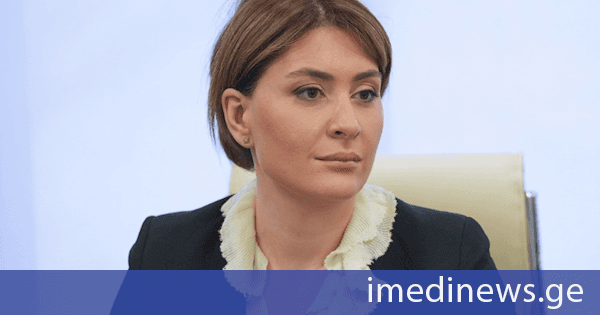 ეკონომიკისა და მდგრადი განვითარების მინისტრის მოადგილე თამარ იოსელიანი გაეროს საერთაშორისო საზღვაო ორგანიზაციის (IMO) გენერალურ მდივანს, არსენიო დომინგესს შეხვდა