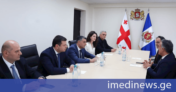 თბილისის პოლიციის დეპარტამენტის დირექტორი თურქეთის რესპუბლიკის საელჩოს მრჩევლებს შეხვდა
