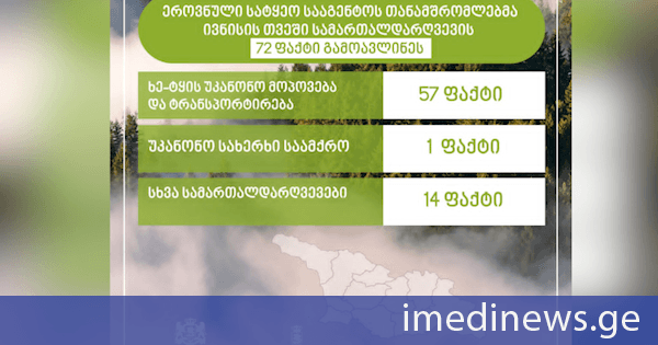 ეროვნული სატყეო სააგენტოს თანამშრომლებმა ივნისში სამართალდარღვევის 72 ფაქტი გამოავლინეს