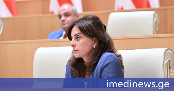 მაია ბითაძე: ჩვენი განცხადებები ყურს მიღმა არ დარჩენილა, უფრო ღიად ვსაუბრობთ ორმაგ სტანდარტზე, რომელსაც ჩვენ წინააღმდეგ იყენებენ