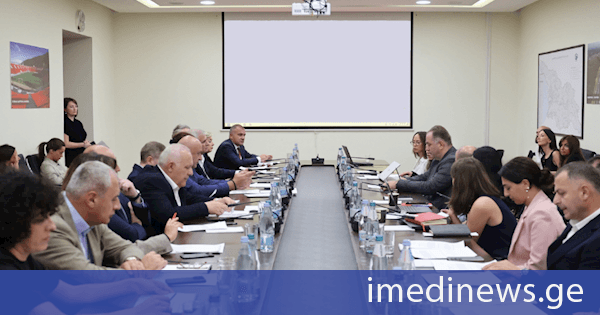 ინფრასტრუქტურის სამინისტროში რუსთავის, გურჯაანის, წალენჯიხისა და ზესტაფონის მუნიციპალიტეტებში განსახორციელებელი პროექტების არქიტექტურული კონცეფციები განიხილეს