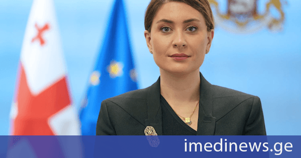 თამარ იოსელიანი: საქართველოს მთავრობა სატრანსპორტო სექტორის განვითარებასთან დაკავშირებით თანმიმდევრულ პოლიტიკას ატარებს