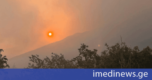 უელსში ტყის ხანძარს ებრძვიან