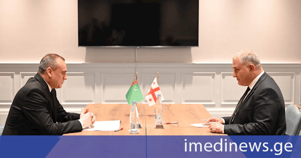 მიხეილ სარჯველაძე თურქმენეთის ჯანმრთელობისა და სამედიცინო მრეწველობის მინისტრს მირატბერდი გაიპოვს შეხვდა