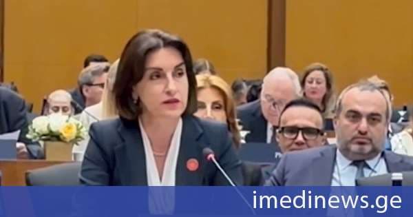 რადიკალიზმის ლეგიტიმაციის მცდელობა საერთაშორისო ინსტიტუტების ჩართულობით - საქართველოს პირველი დიპლომატის გზავნილები ვაშინგტონიდან და „პოლიტიკური ტერორიზმის” საფრთხე. „ქრონიკის“ სიუჟეტი