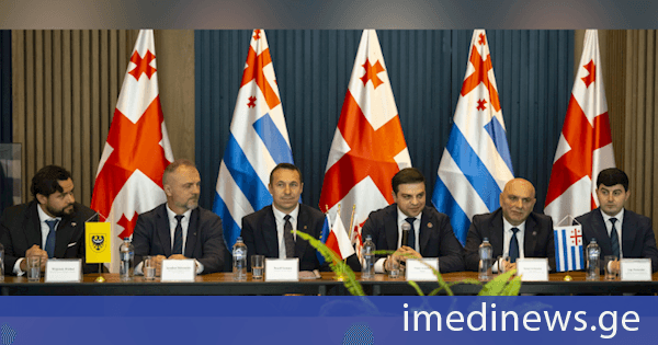 ცოტნე ანანიძემ ქვემო სილეზიის სავოევოდოს მარშალის, პაველ განცარჟის ხელმძღვანელობით ჩამოსულ 26-წევრიან დელეგაციას უმასპინძლა