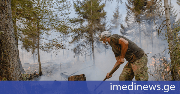 ჰაერის ტემპერატურის მატებასთან ერთად ტყის ხანძრების რისკი იზრდება - სპეციალისტები მოსახლეობას ტყეში მოქმედი სახანძრო უსაფრთხოების წესების დაცვისკენ მოუწოდებენ