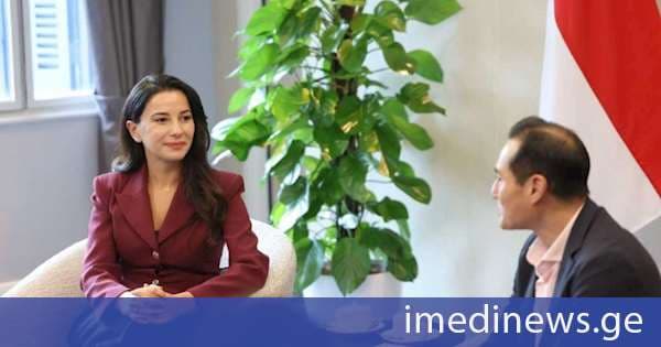 მარიამ ქვრივიშვილი: ვაზიანის საერთაშორისო აეროპორტის პროექტი მოექცა ჩანგის აეროპორტის მმართველი გუნდის ინტერესის სფეროში, მათ ფაქტობრივად დაგვიდასტურეს ინტერესი, რომ მონაწილეობა მიიღონ იმ ტენდერში, რომელსაც საქართველოს მთავრობა პარტნიორი კომპანიის შერჩევისას გამოაცხადებს