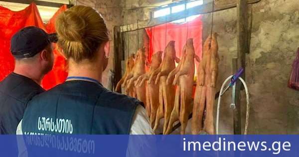 სურსათის ეროვნულმა სააგენტომ ჩხოროწყუში ფრინველთა და ცხოველთა არალეგალური სასაკლაო გამოავლინა