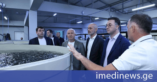 დავით სონღულაშვილი: აკვაკულტურა სოფლის მეურნეობის ერთ-ერთი პერსპექტიული მიმართულებაა, რომელსაც განვითარების დიდი პოტენციალი აქვს