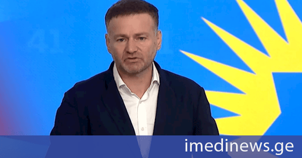ირაკლი ჭეიშვილი: ყოველივე აქტის მიღებასა თუ დაინიცირებაში ჯო უილსონს უხდიან კონკრეტულ თანხას და იმიტომ არის ასეთი აჟიტირებული