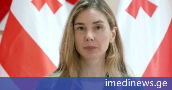 „ნაციონალური მოძრაობის თავმჯდომარე თინა ბოკუჩავა პარტიის პოლიტსაბჭოს სხდომას არალეგიტიმურად აცხადებს