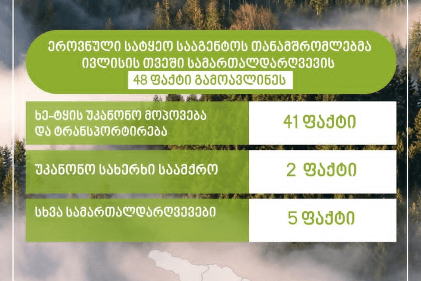 ეროვნული სატყეო სააგენტოს თანამშრომლებმა, მიმდინარე წლის ივლისის თვეში სამართალდარღვევის 48 ფაქტი გამოავლინეს, საიდანაც 41 ფაქტი ხე-ტყის უკანონო მოპოვების, მათ შორის ტრანსპორტირების ფაქტია