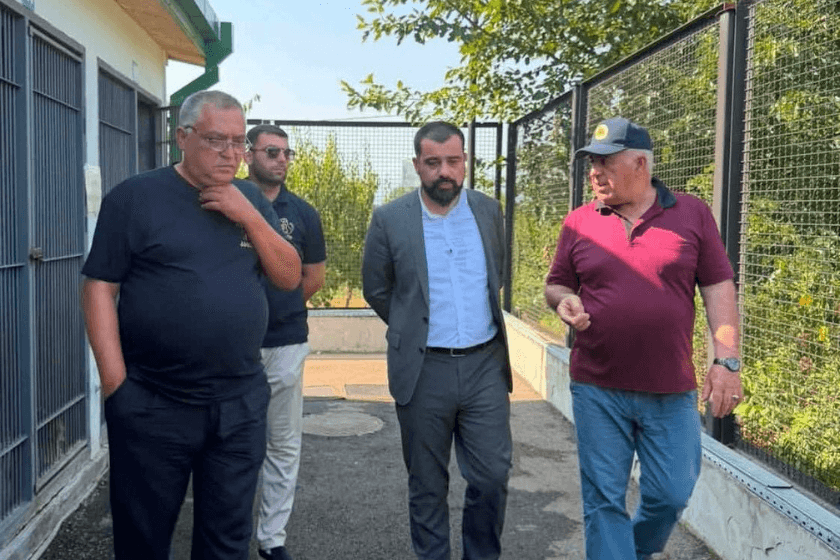 ლაშა ავალიანი გურჯაანის ინტერმუნიციპალურ თავშესაფარში ძაღლების ჰიპერპოპულაციის მართვის პროგრამის მიმდინარეობას გაეცნო