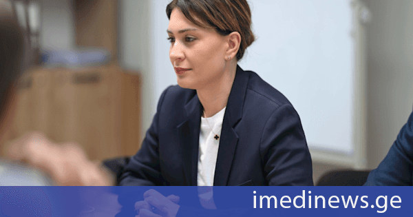 თამარ იოსელიანი კომპანია Jan De Nul N.V.-ის საქართველოს ფილიალის დირექტორს შეხვდა, სადაც ანაკლიის ღრმაწყლოვანი ნავსადგურის სამშენებლო სამუშაოების მიმდინარეობაზე იმსჯელეს
