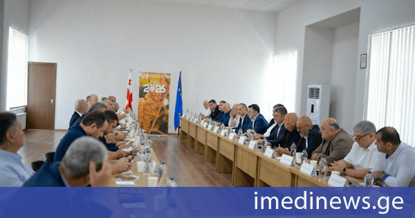 ქალაქ გურჯაანში რთველის საკოორდინაციო შტაბი გაიხსნა - შტაბი 24-საათიან რეჟიმში იმუშავებს