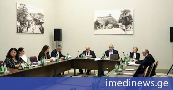 ჯანდაცვის მინისტრის ხელმძღვანელობით, პროფესიული განვითარების საბჭოს მორიგი სხდომა ბათუმში გაიმართა