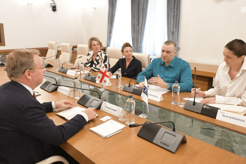 რატი იონათამიშვილი ეროვნულ უმცირესობათა საკითხებში ეუთო-ს უმაღლეს კომისარს შეხვდა