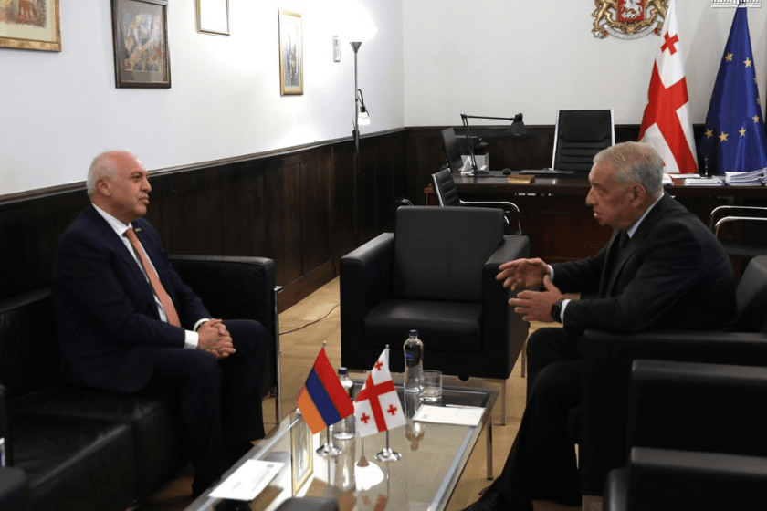 გიორგი ვოლსკი სომხეთის რესპუბლიკის ელჩს შეხვდა