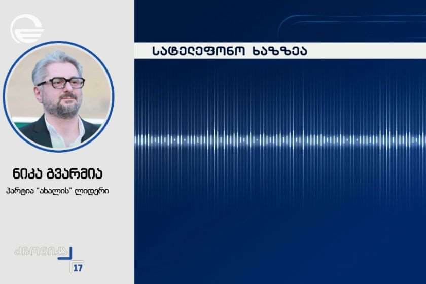 ნიკა გვარამია: ანა წითლიძე რას ამბობს, საერთოდ მნიშვნელოვანი არ არის ჩემთვის
