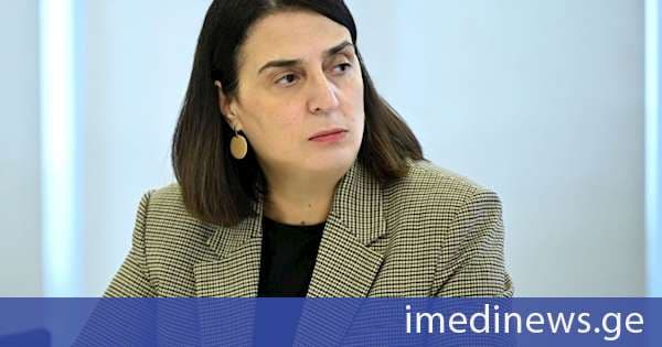 ეკატერინე მიქაბაძე: საერთაშორისო რეზერვების მაღალი დონე ქვეყნის მაკროეკონომიკური სტაბილურობისა და ქვეყნის დაცულობის გარანტია საგარეო შოკების მიმართ, განსაკუთრებით, მცირე, ღია ეკონომიკის შემთხვევაში