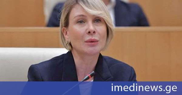 ნინო წილოსანი: დავით გარეჯთან დაკავშირებით ასავალ-დასავალში გამოქვეყნებული სტატია და ინფორმაცია მტკნარი სიცრუე იყო