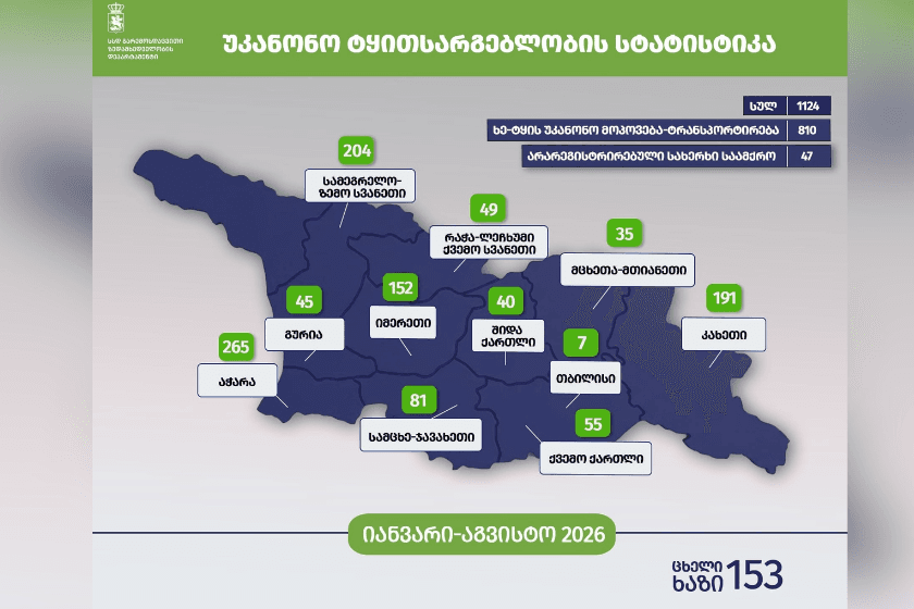 გარემოსდაცვითი ზედამხედველობის დეპარტამენტმა 8 თვეში უკანონო ტყითსარგებლობის 1124 ფაქტი გამოავლინა